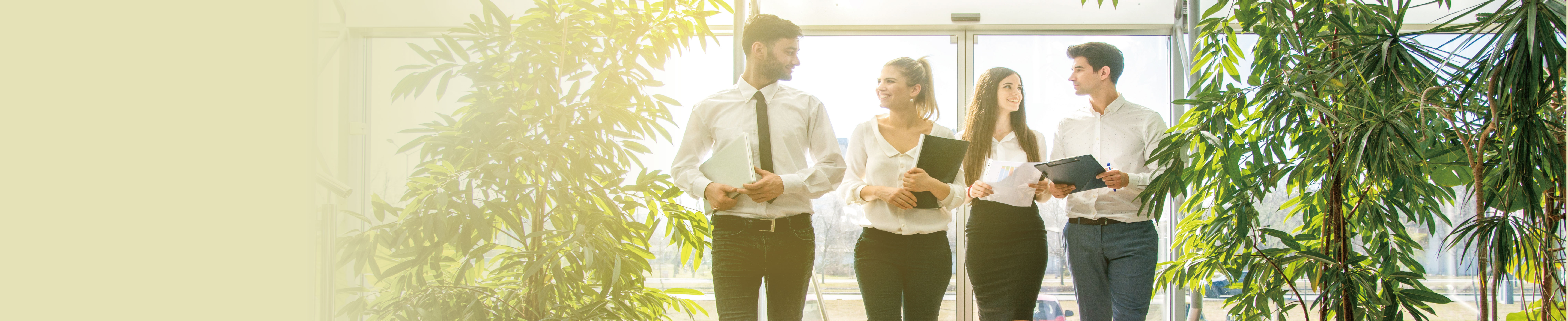 level 3c_L3_SC_BCS_D.jpg